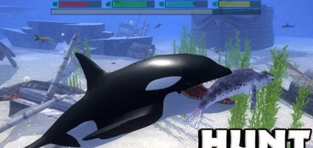 终极海豚模拟器