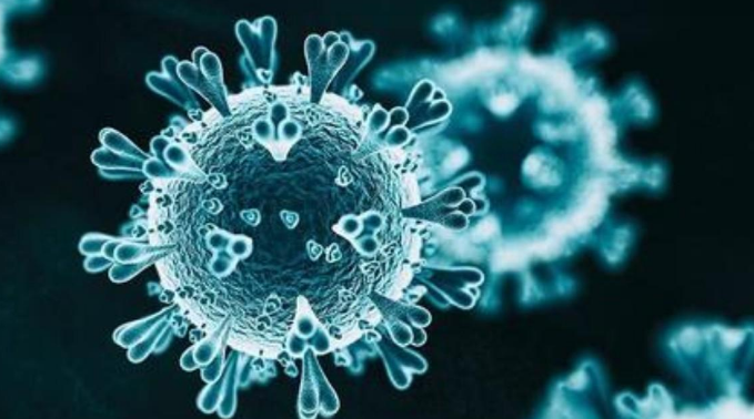 武汉大学研发出新冠病毒快检新方法 仅需20分钟可出结果