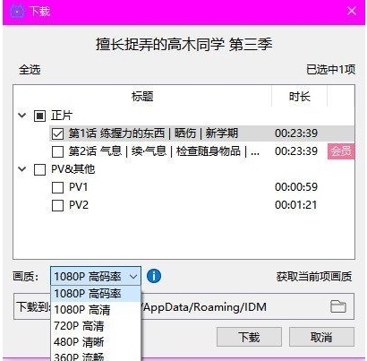 B23Downloader图片