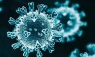 武汉大学研发出新冠病毒快检新方法 仅需20分钟可出结果