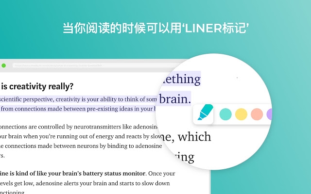 LINER网页PDF荧光笔图片3