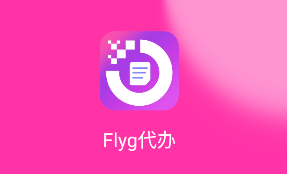 Flyg代办app
