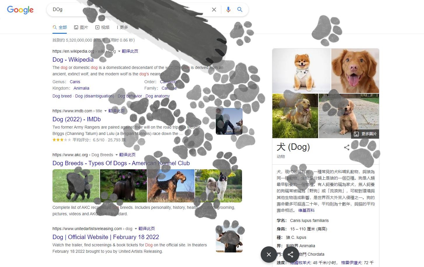迎接国际猫咪日 谷歌上线猫咪爪印彩蛋小游戏