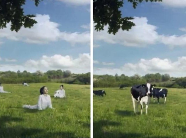 韩国广告将女性描绘成奶牛惹众怒 网友痛斥恶心