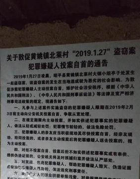 惊天魔盗团？重2吨陨石离奇被盗 警方悬赏3万缉贼