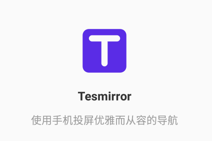 Tesmirror app