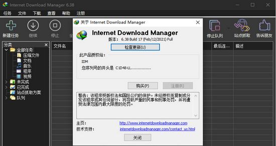 Internet Download Manager图片